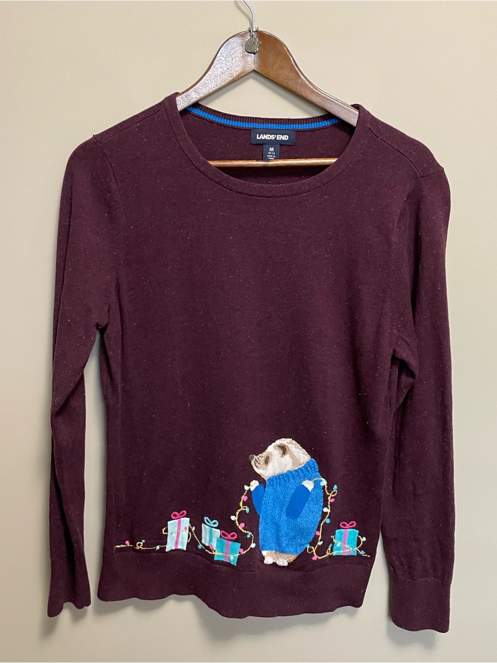 Lands End Hedgehog Christmas Sweater Women’s Medium or size 10-12